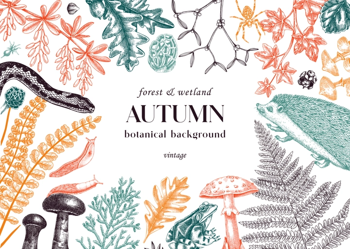 Sketched autumn background. Vintage forest wildlife vector illustration. Woodland animals, ferns, mushrooms, fall leaves, and autumn plant sketches. Vintage banner, card, design template in color